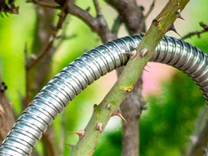 Tardigrade Steel Hose - Metal Garden Hose 100 FT